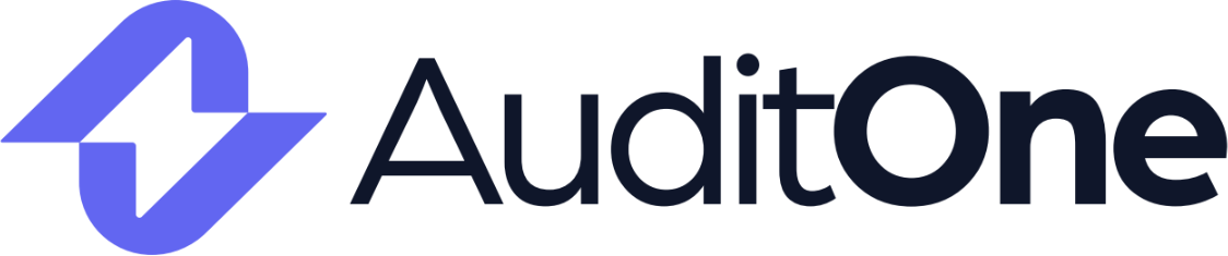 AuditOne